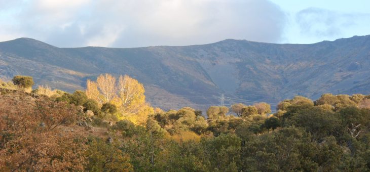 Alegaciones al PRUG del Parque Nacional Sierra de Guadarrama